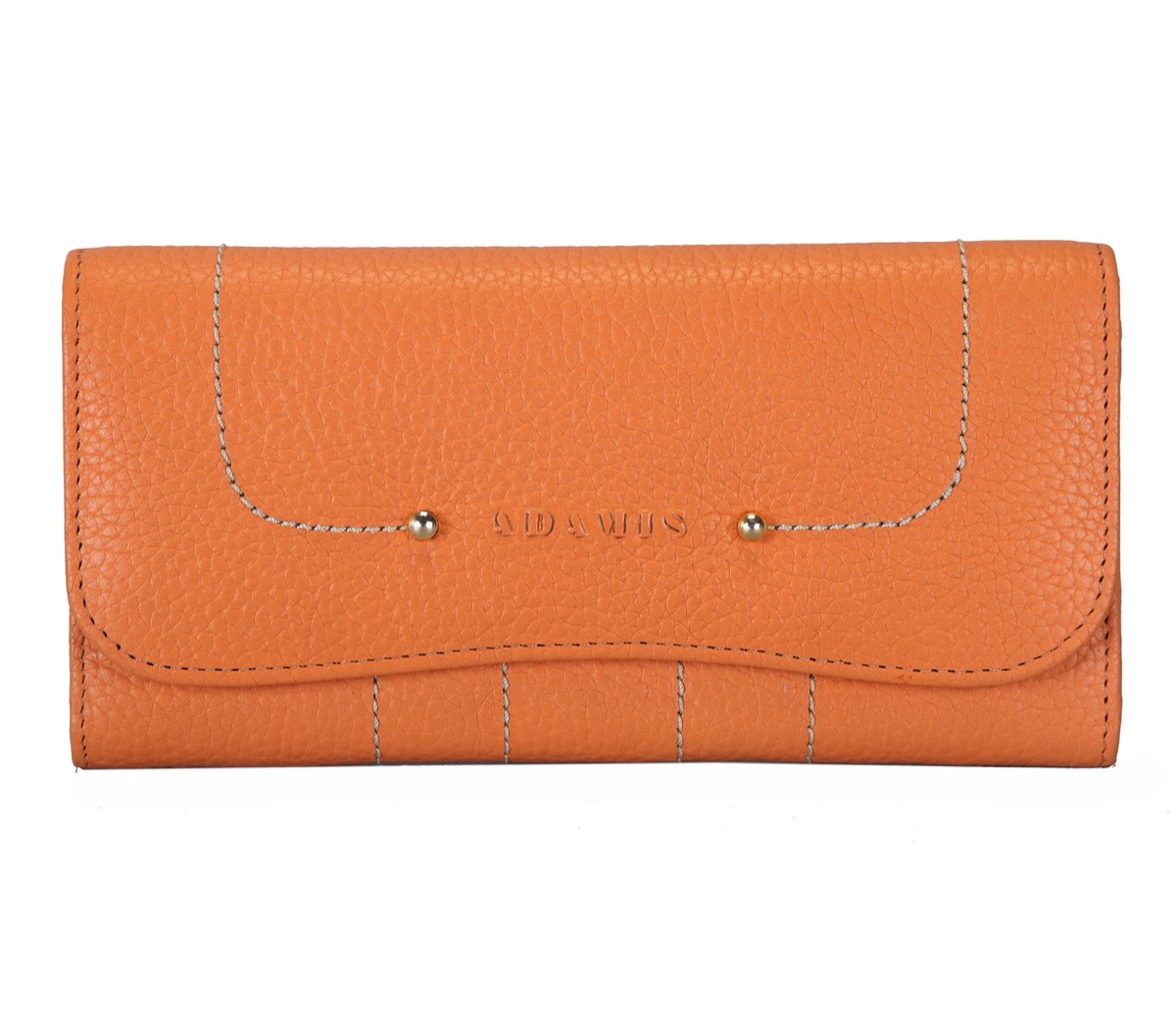 Compact Wallet · No. 224