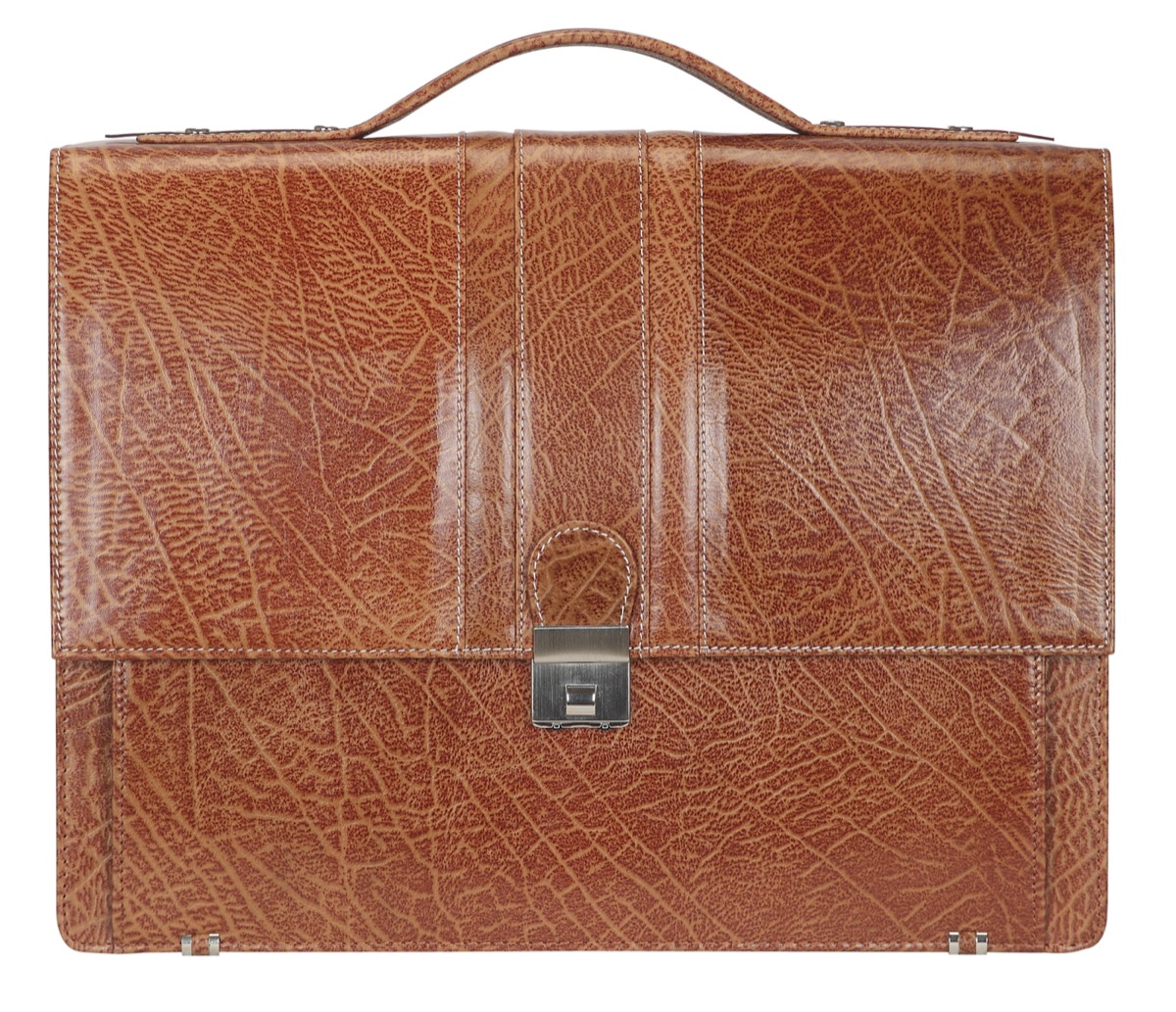 Portfolio Bag — F32